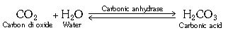 ""CBSE-Class-11-Biology-Respiration-In-Plants-16