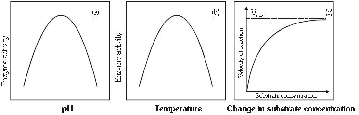 ""CBSE-Class-11-Biology-Respiration-In-Plants-21