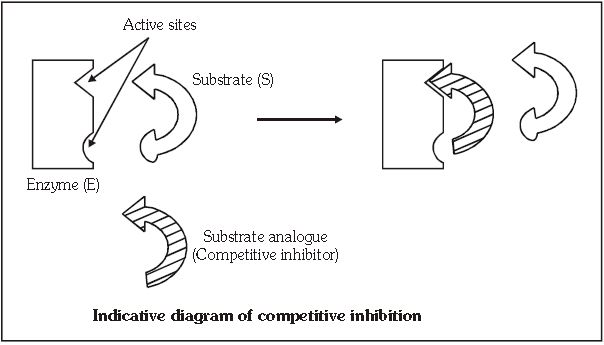 ""CBSE-Class-11-Biology-Respiration-In-Plants-22