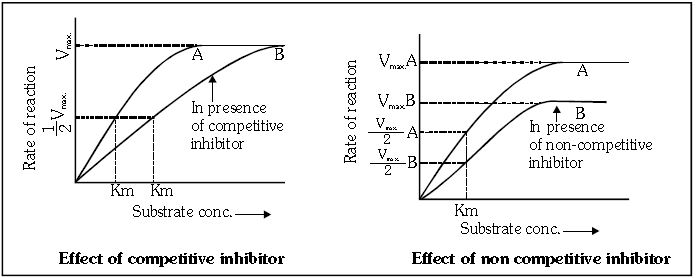 ""CBSE-Class-11-Biology-Respiration-In-Plants-26