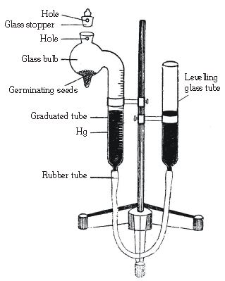 ""CBSE-Class-11-Biology-Respiration-In-Plants-29