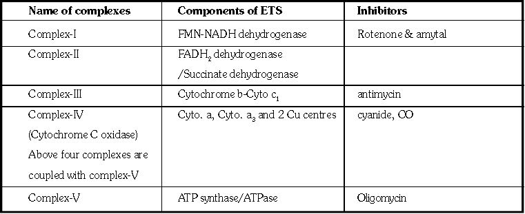 ""CBSE-Class-11-Biology-Respiration-In-Plants-3