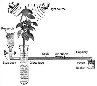 ""CBSE-Class-11-Biology-Respiration-In-Plants-32