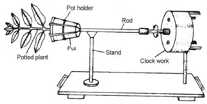 ""CBSE-Class-11-Biology-Respiration-In-Plants-33