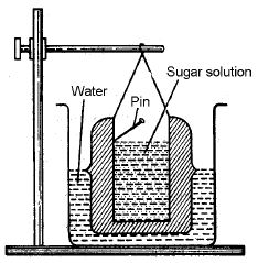 ""CBSE-Class-11-Biology-Respiration-In-Plants-34