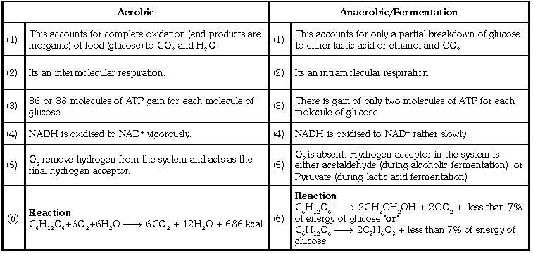 ""CBSE-Class-11-Biology-Respiration-In-Plants