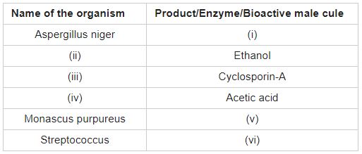 ""CBSE-Class-12-Biology-Microbes-In-Human-Welfare