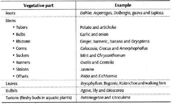 ""CBSE-Class-12-Biology-Reproduction-In-Organisms-1
