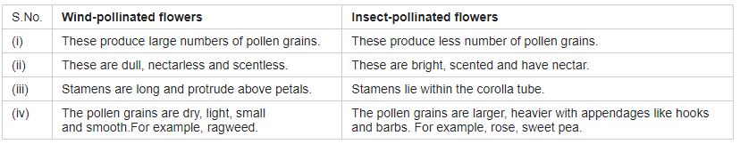 ""CBSE-Class-12-Biology-Sexual-Reproduction-in-Flowering-Plants