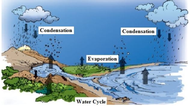 ""CBSE-Class-6-Science-Water