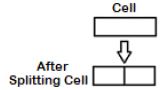 ""CBSE-Class-7-Computer-Science-Microsoft-Word-Part-3-3