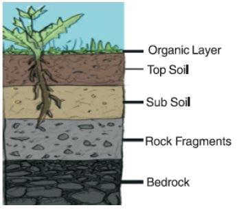 ""CBSE-Class-7-Science-Soil