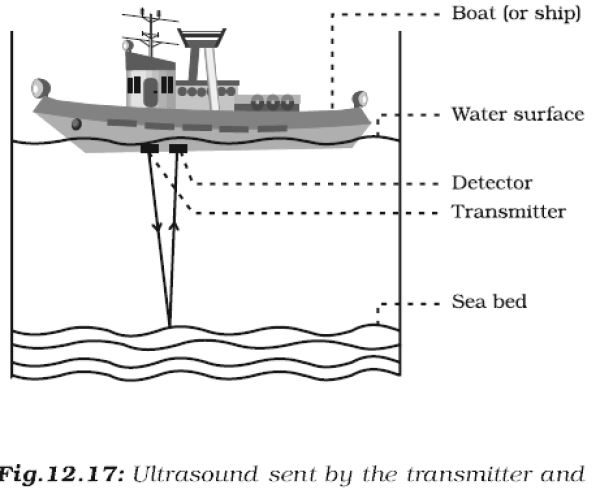 ""CBSE-Class-9-Science-Sound-4