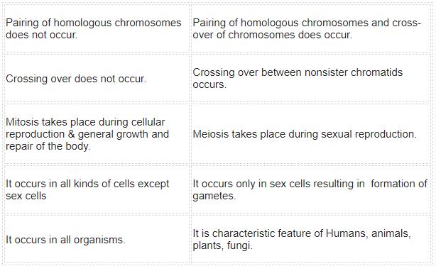 ""NCERT-Solutions-Class-11-Biology-Chapter-10-Cell-Cycle-and-Cell-Division-3
