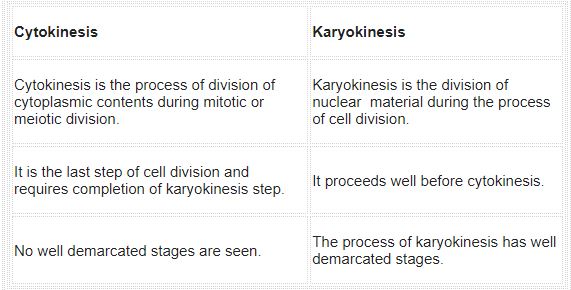 ""NCERT-Solutions-Class-11-Biology-Chapter-10-Cell-Cycle-and-Cell-Division