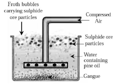 cbse-class-10-Science-metals-and-non-metals-worksheet-c