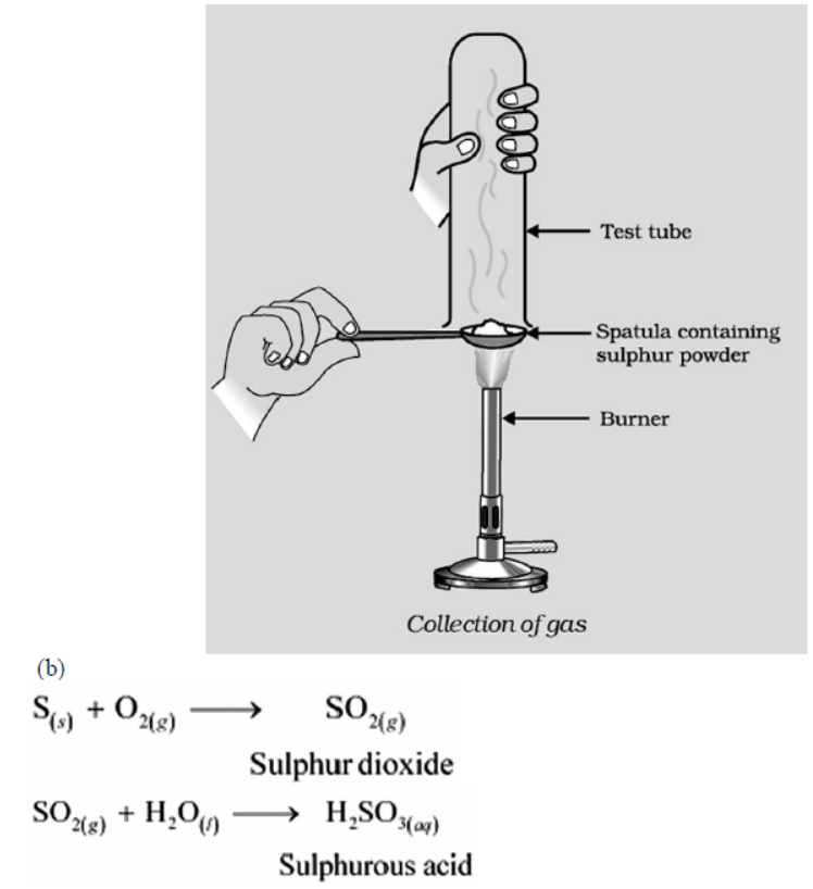 cbse-class-10-Science-metals-and-non-metals-worksheet-c