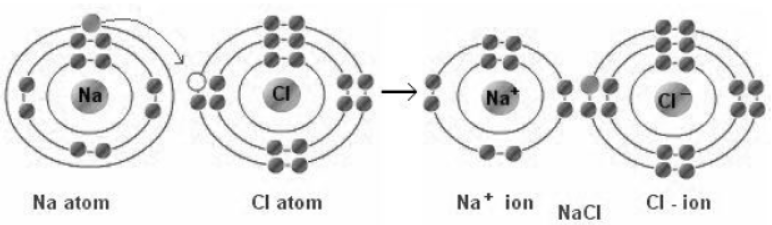 cbse-class-10-Science-metals-and-non-metals-worksheet-c