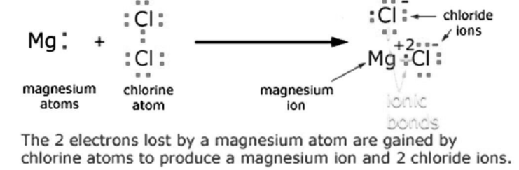 cbse-class-10-Science-metals-and-non-metals-worksheet-c