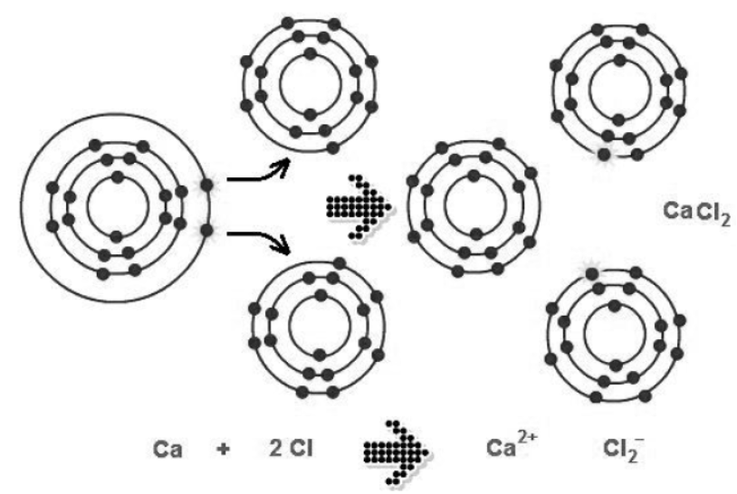 cbse-class-10-Science-metals-and-non-metals-worksheet-c