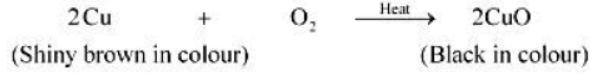 cbse-class-10-chemistry-chemical-reactions-and-equation-worksheet-set-d