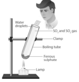 cbse-class-10-chemistry-chemical-reactions-and-equations-worksheet-set-c