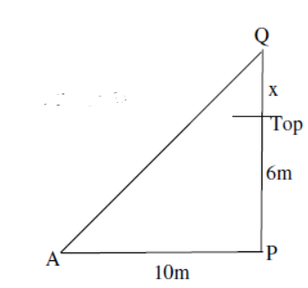 cbse-class-10-maths-hots-quadratic-equations