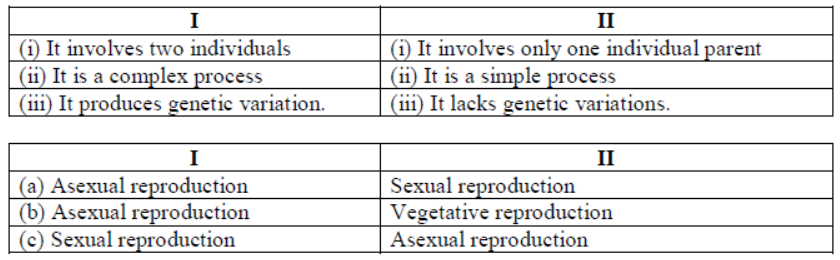 cbse-class-10-science-sample-paper-2023-set-a