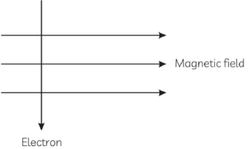 cbse-class-10-science-sample-paper-2023-set-a