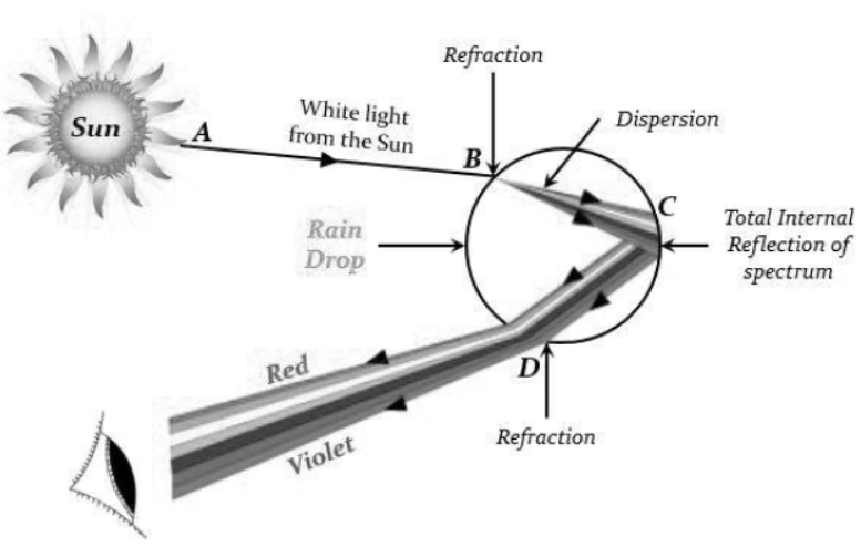 cbse-class-10-science-sample-paper-2023-set-b