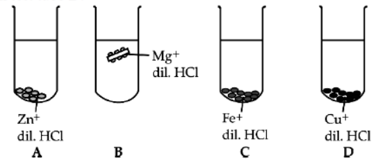 cbse-class-10-science-sample-paper-2023-set-b