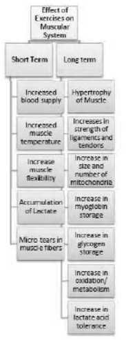 cbse-class-12-physical-education-sample-paper-2023