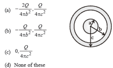 cbse-class-12-physics-electric-charges-and-fields-worksheet-set-e