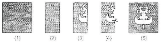 cbse-class-4-maths-symmetry-and-patterns-hots