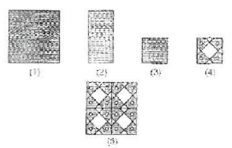 cbse-class-4-maths-symmetry-and-patterns-hots