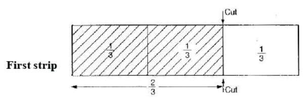 cbse-class-6-maths-fractions-hots