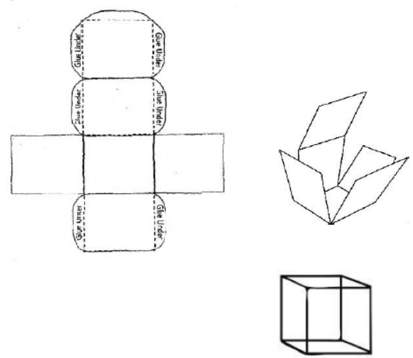 cbse-class-6-maths-understanding-elementary-shapes-hots