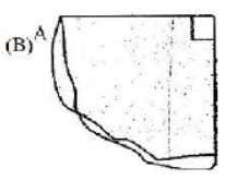 cbse-class-6-maths-understanding-elementary-shapes-hots