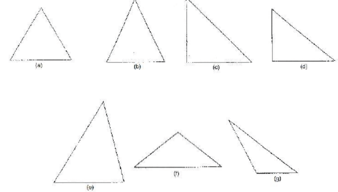 cbse-class-6-maths-understanding-elementary-shapes-hots