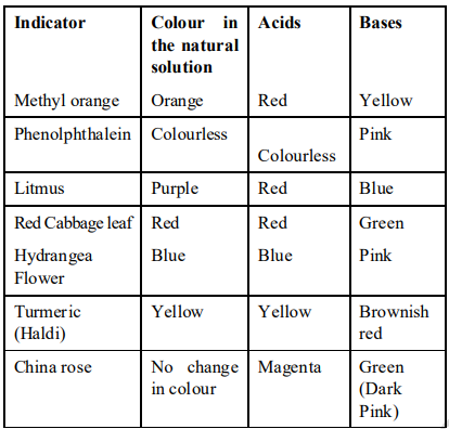 cbse-class-7-science-acids-bases-and-salts-worksheet-set-a