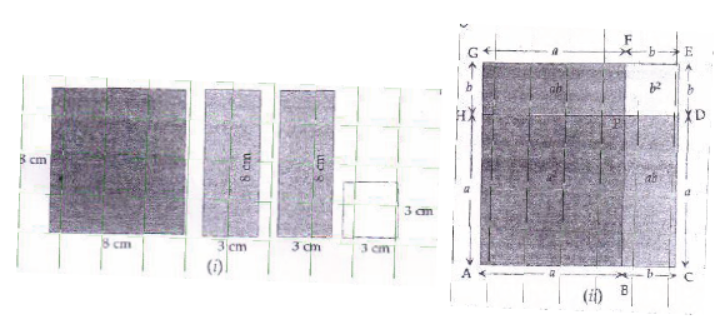 cbse-class-8-maths-factorization-hots