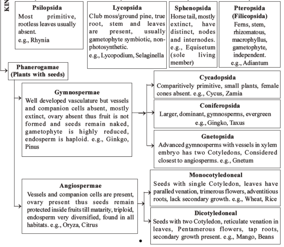 neet-biology-classification-of-plant-kingdom-mcqs-set-a