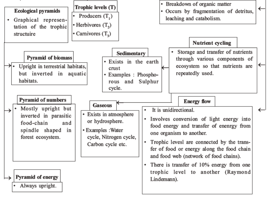 NEET-Biology-Ecosystem-MCQs-Set-B