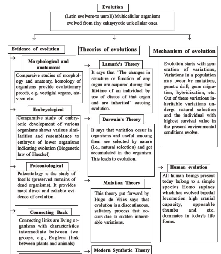 NEET-Biology-Evolution-MCQs-Set-B