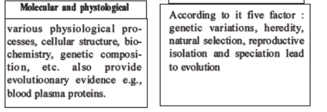 NEET-Biology-Evolution-MCQs-Set-B