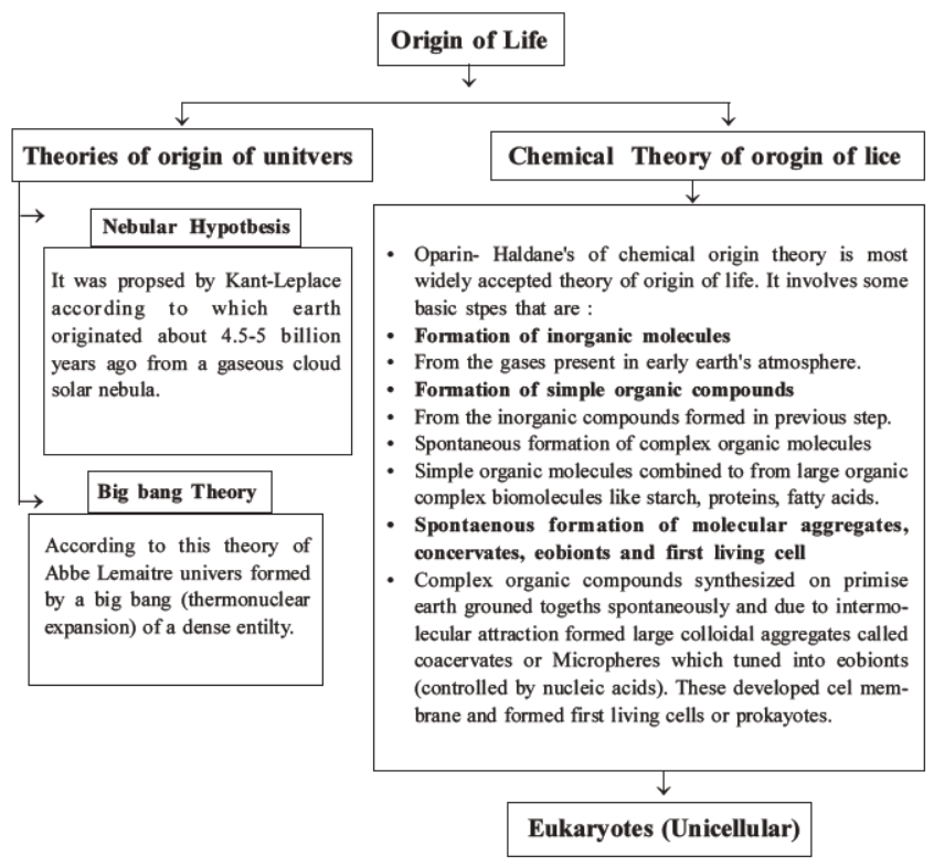 NEET-Biology-Evolution-MCQs-Set-B