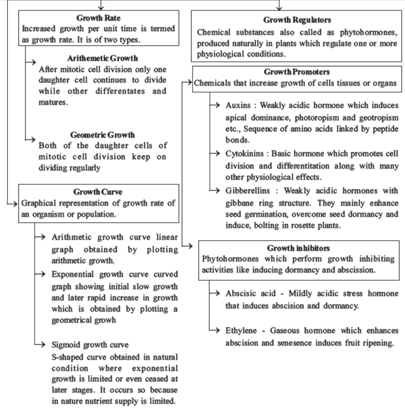 NEET-Biology-Growth and-Development-MCQs-Set-B