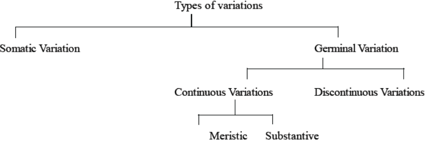 NEET-Biology-Heredity-and-Variation-MCQs-Set-A