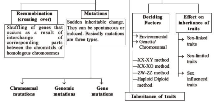 NEET-Biology-Heredity-and-Variation-MCQs-Set-B