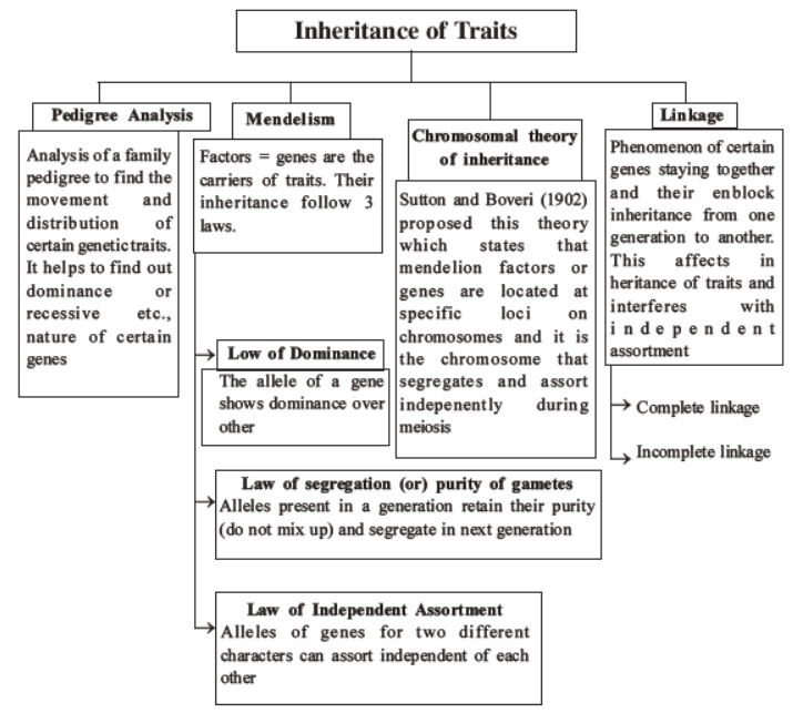 NEET-Biology-Heredity-and-Variation-MCQs-Set-B